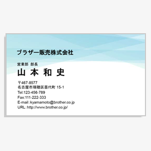 スタンダード名刺 横11