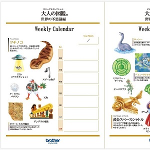 大人の図鑑　TODOカレンダー
