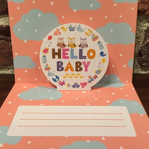 baby_006