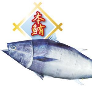 つきじ喜代村（すしざんまい）監修！お寿司のペーパークラフト