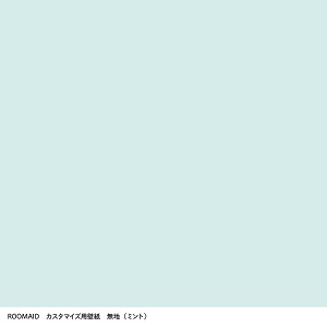 ミニュチュアルーム_カスタムペーパー21