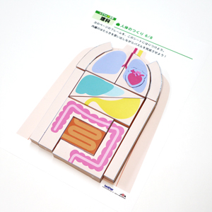 人体の作りパズル