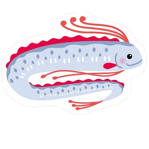 「お魚釣りあそび」深海の生き物