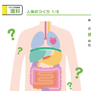 「つくって納得！学習ペーパークラフト」理科 人体のつくり