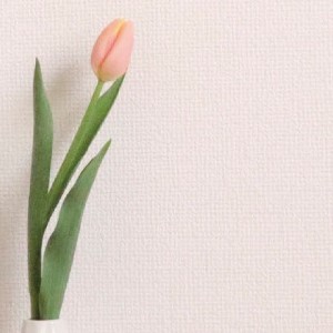アートパネル・チューリップ２