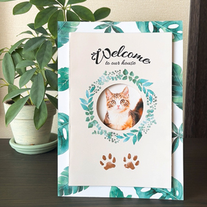 猫足あとスタンプ台紙_1