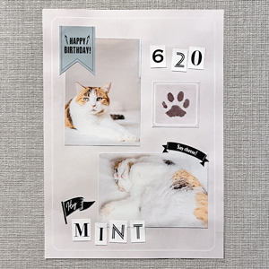 猫足あとスタンプ台紙_3
