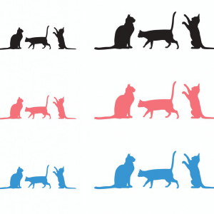 【パーツ素材】猫
