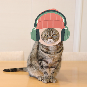 猫顔パネル