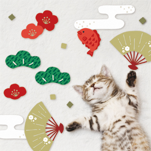 猫用寝相アートセット_3