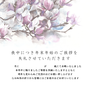 newyearmd_013