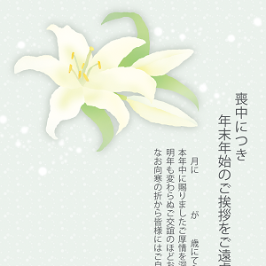 newyearmd_012