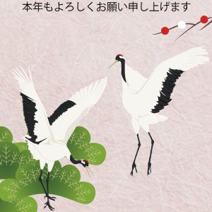 夫婦鶴