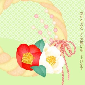 紅白椿