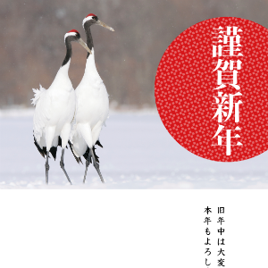 謹賀新年　鶴
