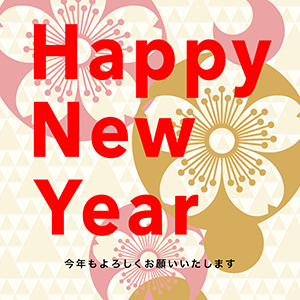 Happy New Year_大きな梅