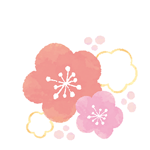 ふんわりとした梅
