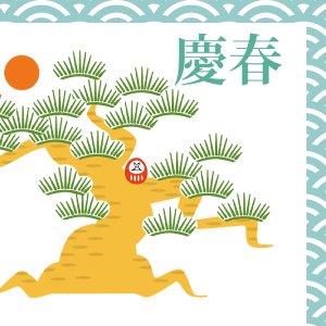 日の出松
