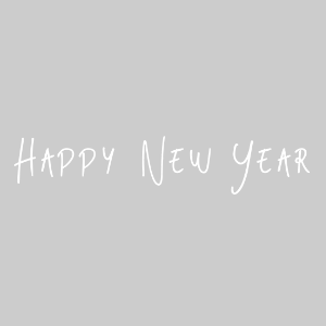 Happy New Year・27