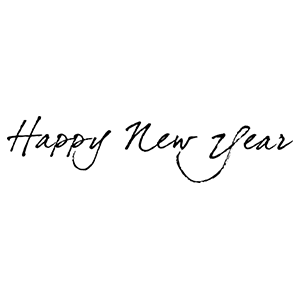 Happy New Year・28