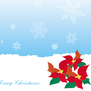 Snow Flake