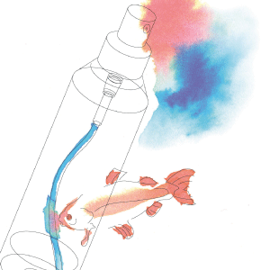 魚