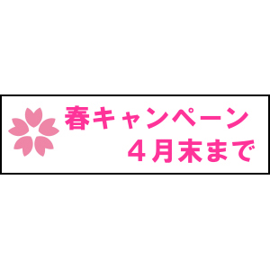 長尺テンプレート/キャンペーン