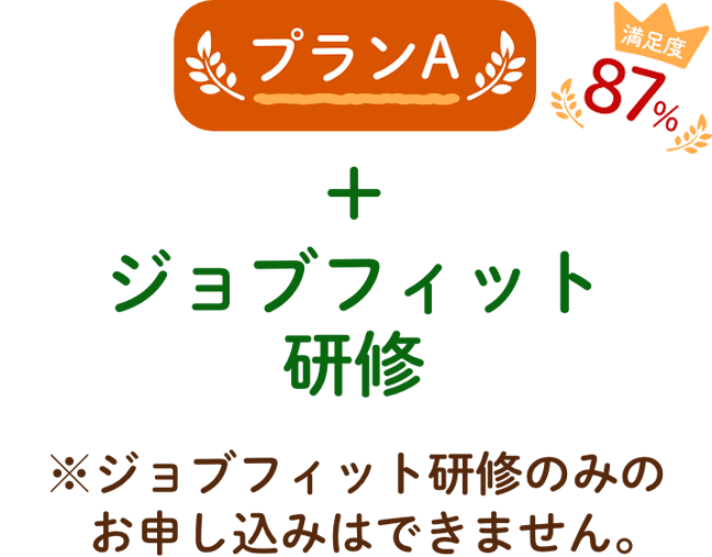 プランA + ジョブフィット研修