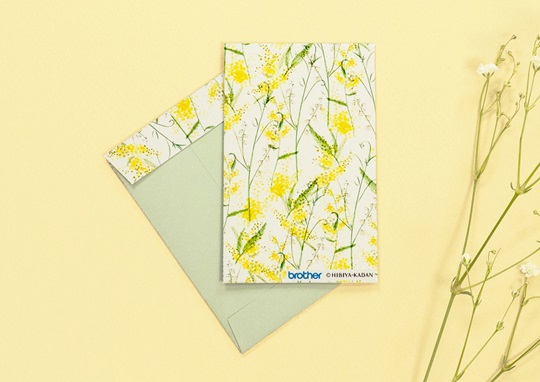 日比谷花壇ポチ袋春夏