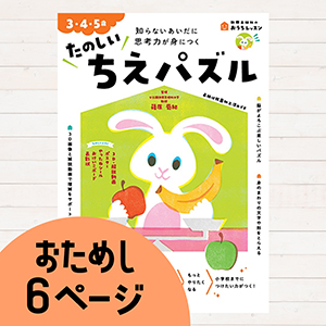 おうちレッスンたのしいちえパズル