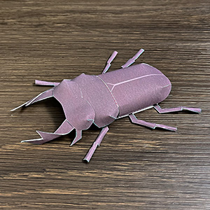 昆虫ペーパークラフト　オオクワガタ
