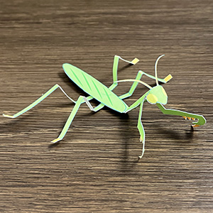 昆虫ペーパークラフト　オオカマキリ