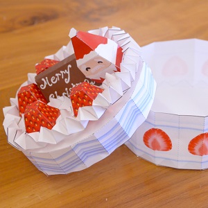 小物入れ_クリスマスケーキ